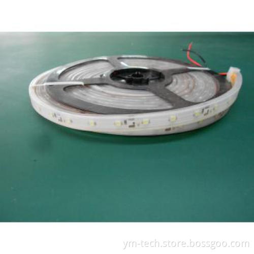 waterproof Flexible 3528 LED Strip 60 LED
